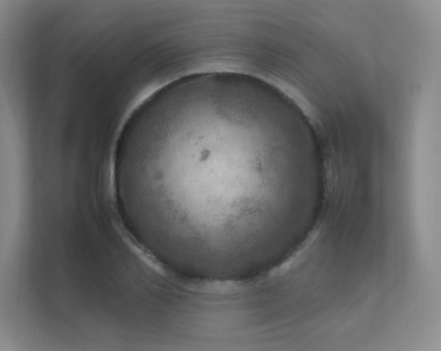 X0000112010982200908101338