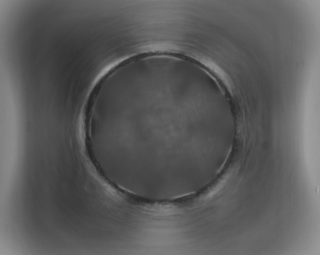 X0000112010983200908101338