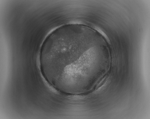 X0000112010984200908101338