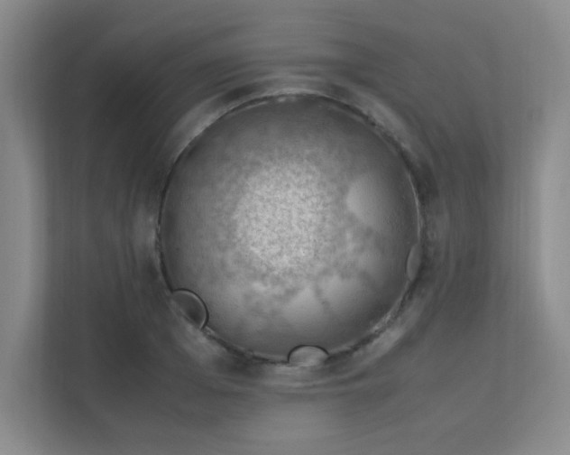 X0000112010985200908101338