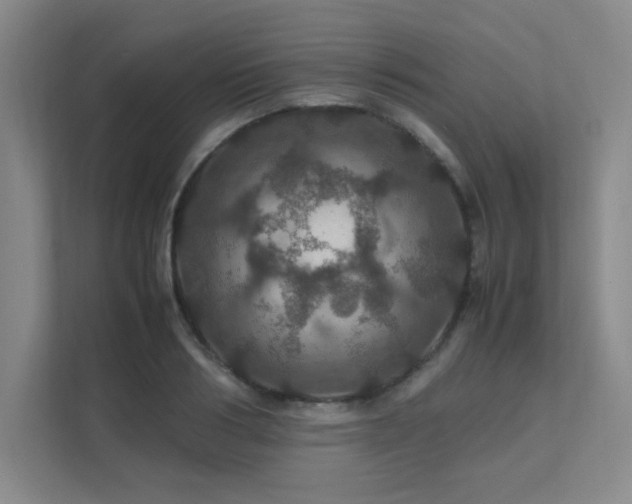 X0000112010986200908101338