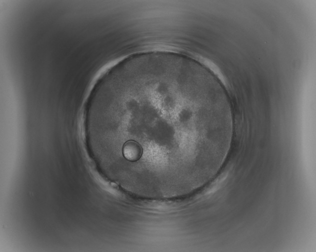 X0000112010987200908101338