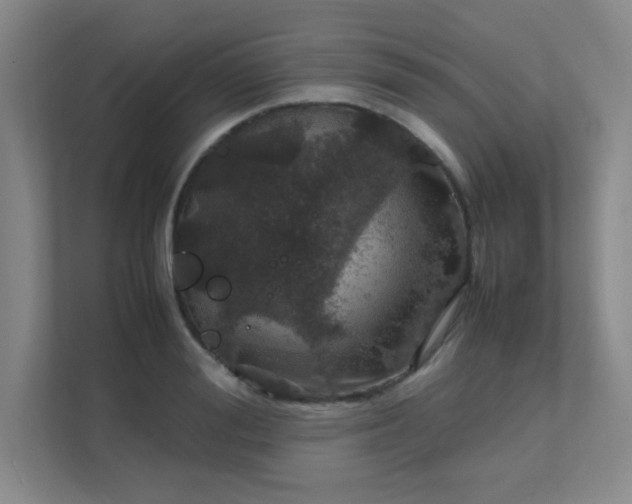 X0000112010988200908101338