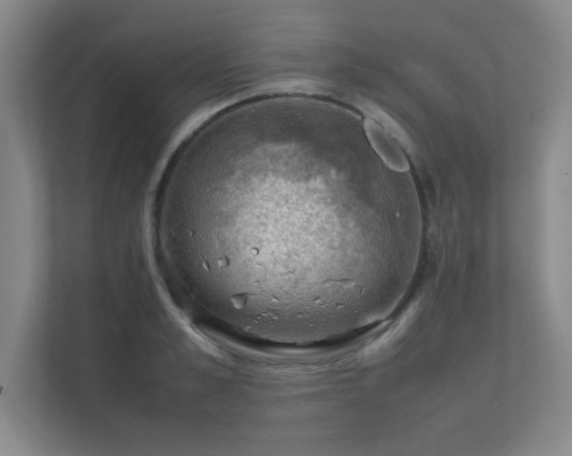 X0000112010989200908101338