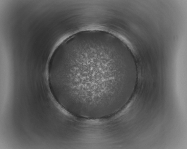 X0000112010990200908101338