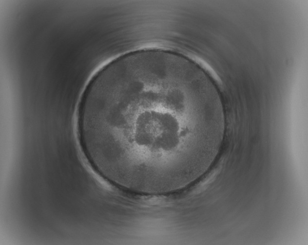 X0000112010991200908101338