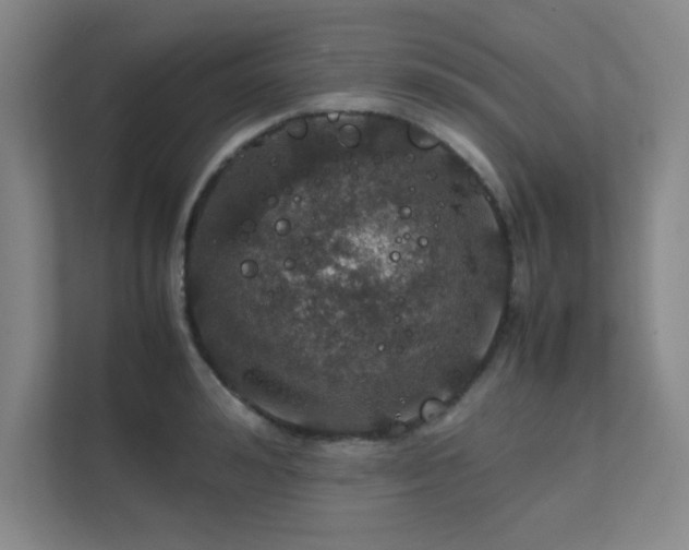 X0000112010992200908101338