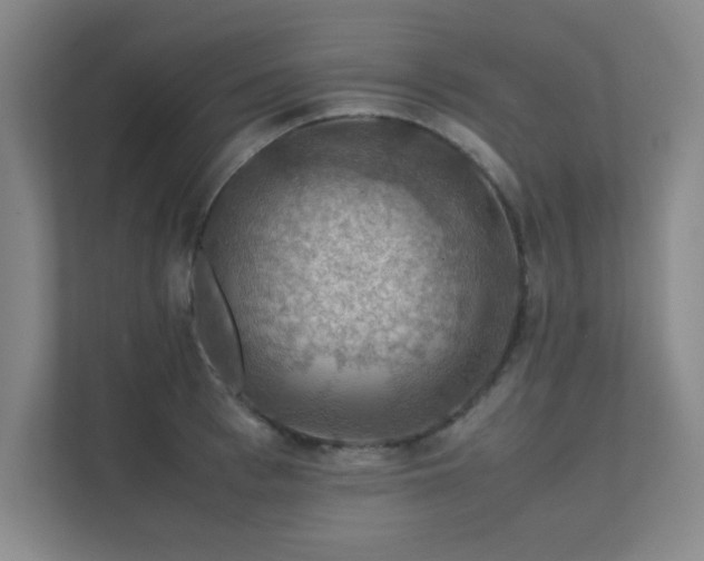 X0000112010993200908101338