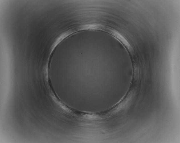 X0000112010994200908101338