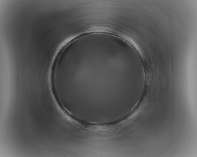 X0000112010995200908101338