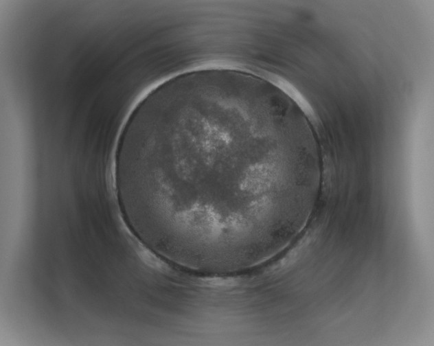 X0000112010996200908101338