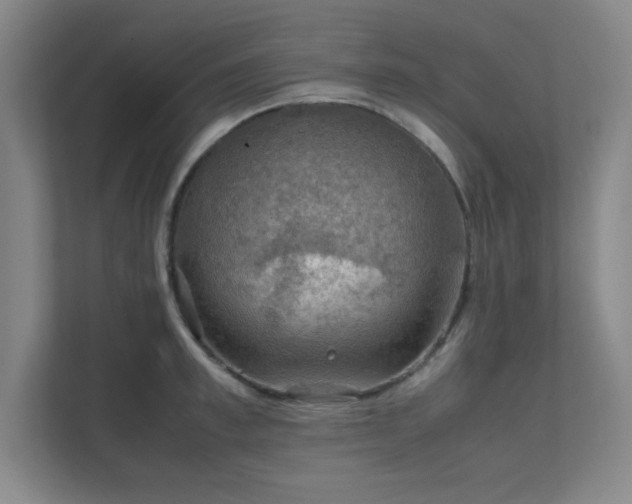 X0000112010997200908101338