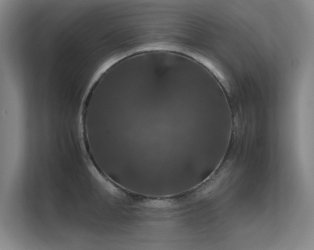 X0000112010998200908101338