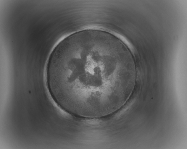 X0000112010999200908101338