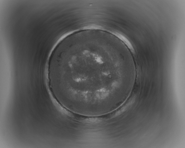 X0000112011000200908101338