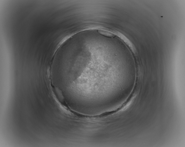 X0000112011001200908101338