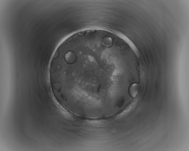 X0000112011004200908101338