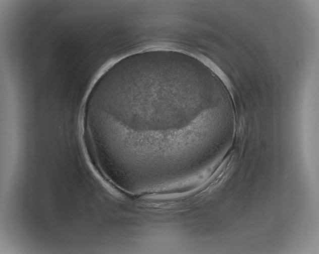 X0000112011005200908101338