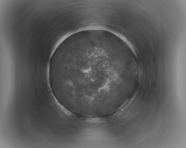 X0000112011006200908101338