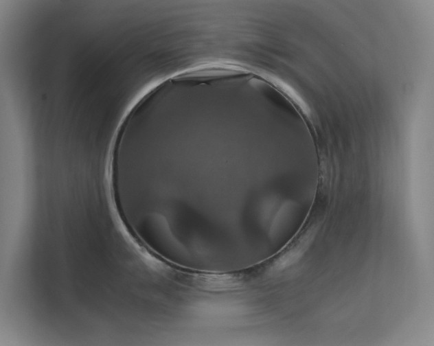 X0000112011007200908101338