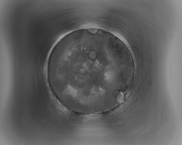 X0000112011008200908101338