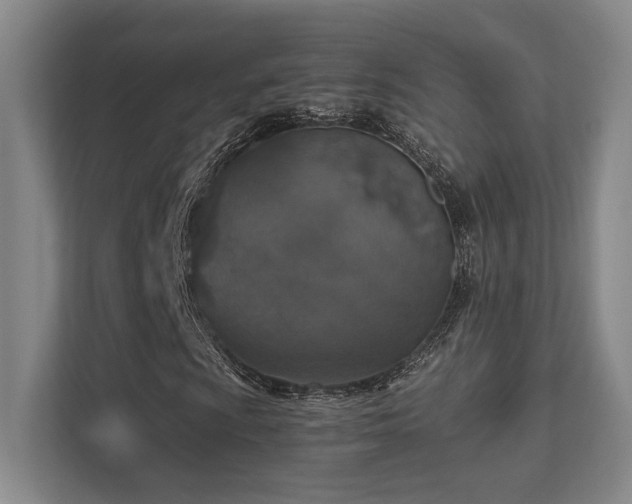 X0000112011009200908101337