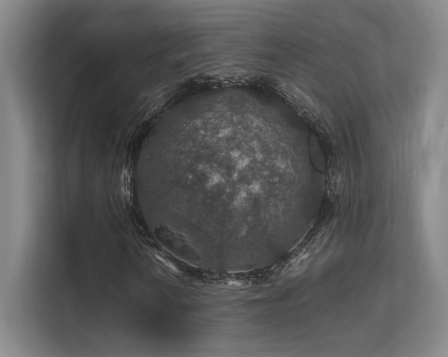 X0000112011010200908101337