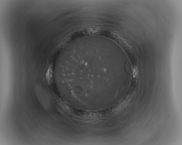 X0000112011011200908101337