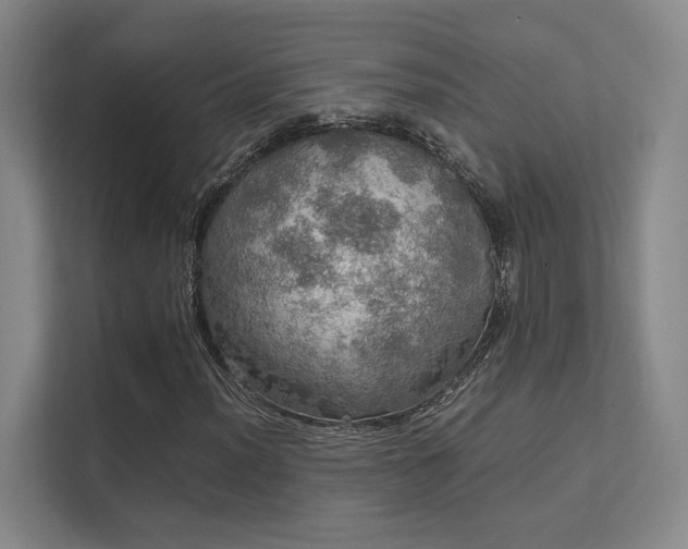 X0000112011012200908101337