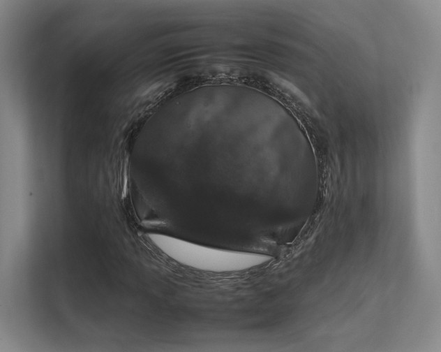 X0000112011013200908101337