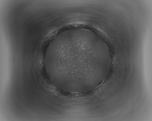 X0000112011014200908101337