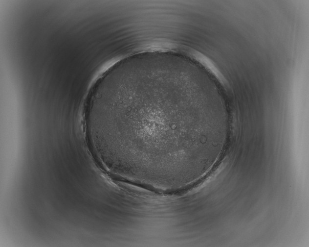 X0000112011018200908101338