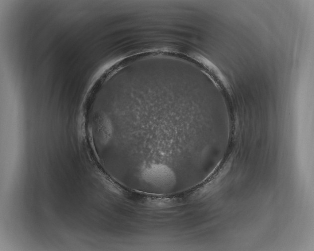 X0000112011019200908101338