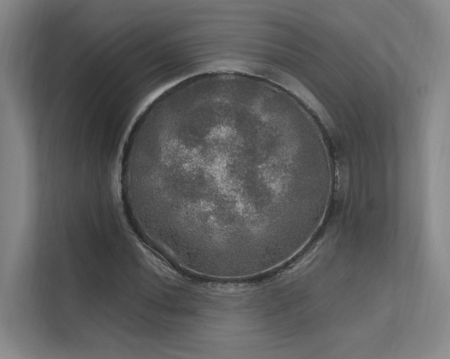 X0000112011020200908101338