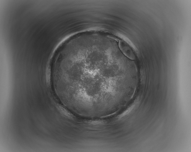 X0000112011021200908101338