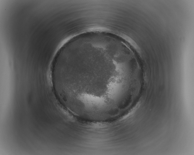 X0000112011022200908101338