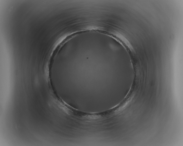 X0000112011023200908101338