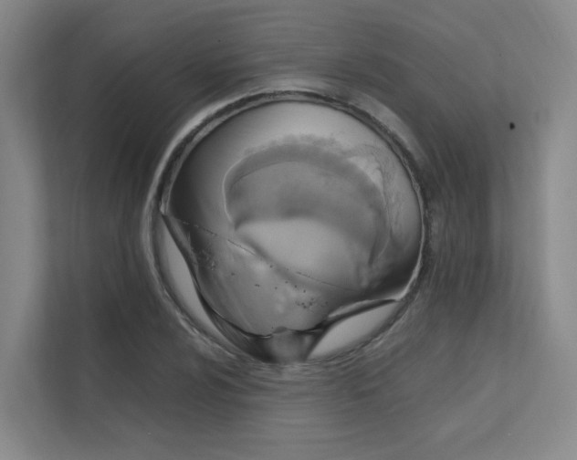 X0000112011024200908101338