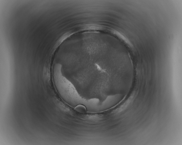 X0000112011025200908101338