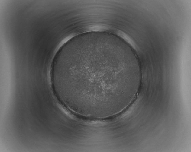 X0000112011026200908101338