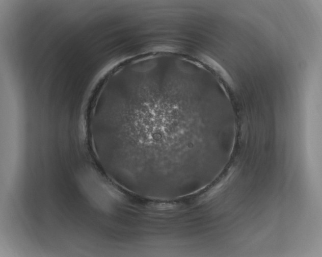 X0000112011027200908101338