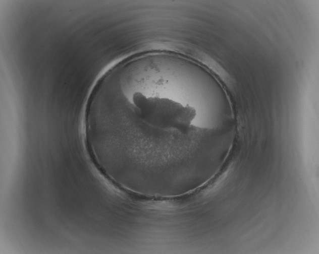 X0000112011028200908101338