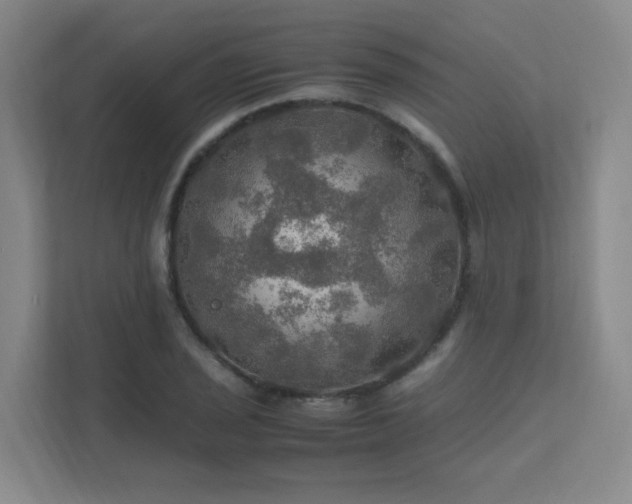 X0000112011029200908101338