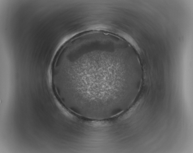 X0000112011032200908101338