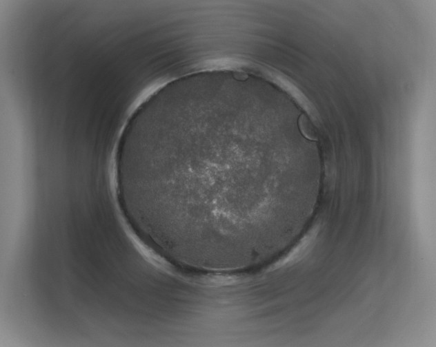 X0000112011034200908101338