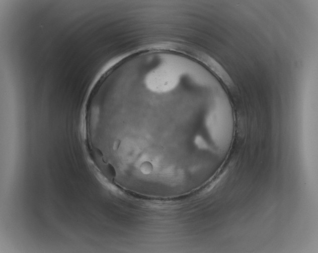 X0000112011036200908101338