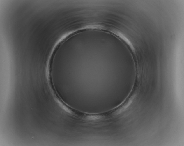 X0000112011037200908101338