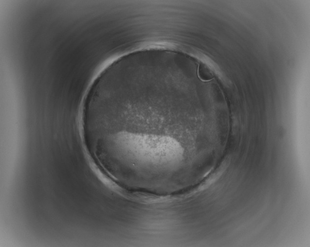 X0000112011038200908101338