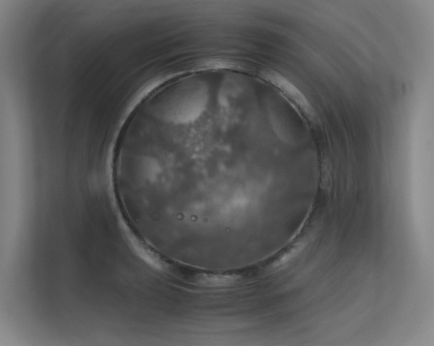 X0000112011039200908101338