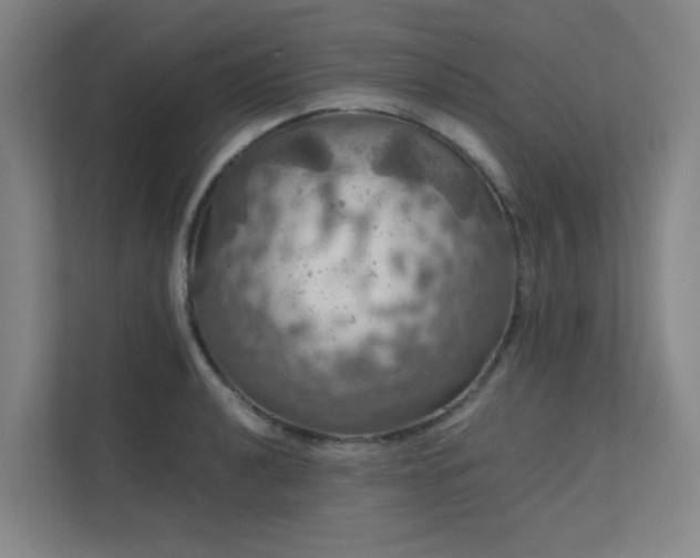 X0000112011040200908101338